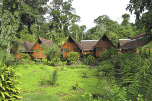 Amazon Expedition Tambopata 4 Days